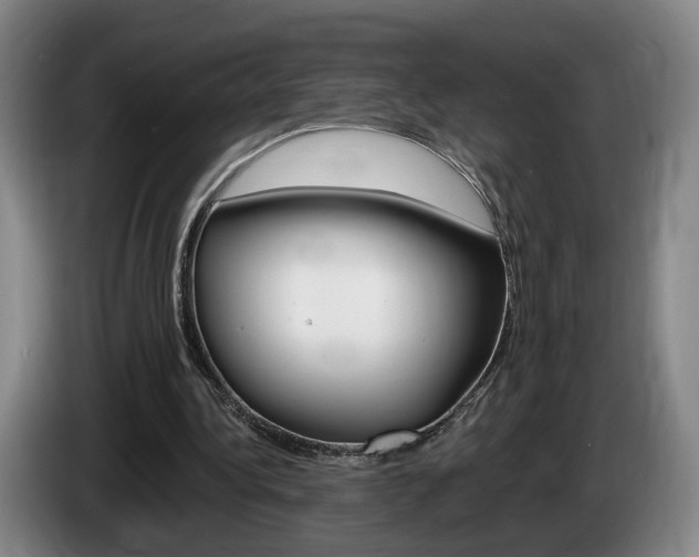 X0000085260340200703090859