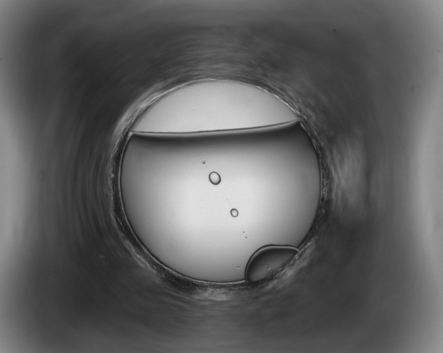 X0000085260341200703090859