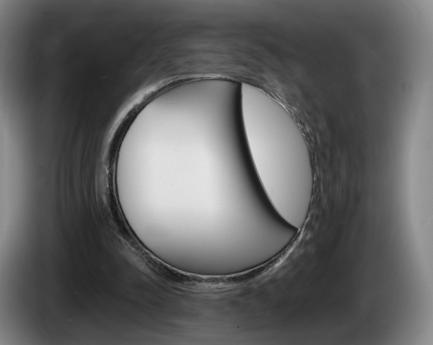 X0000085260342200703090859