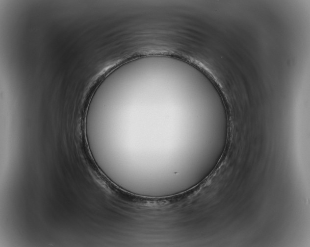 X0000085260345200703090859