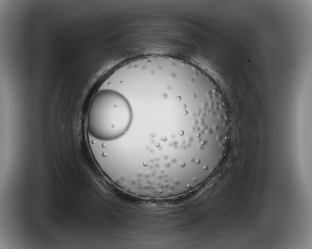 X0000085260346200703090859