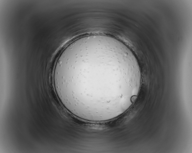 X0000085260347200703090859