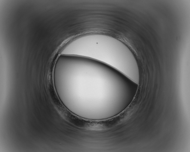 X0000085260348200703090859