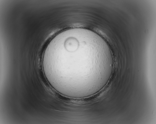 X0000085260351200703090859