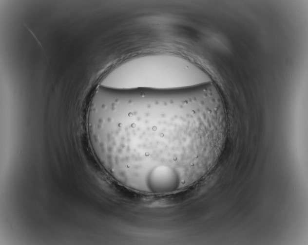 X0000085260354200703090859