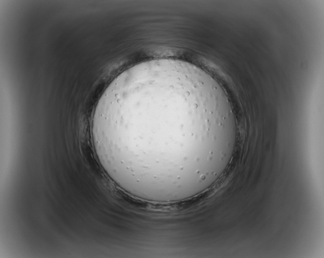 X0000085260359200703090859