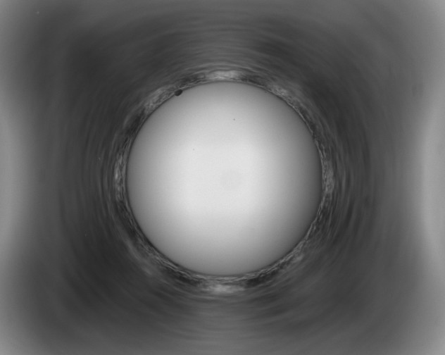 X0000085260360200703090859