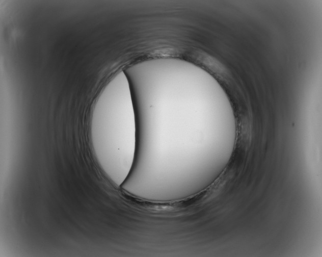 X0000085260361200703090859