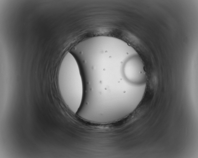 X0000085260366200703090900