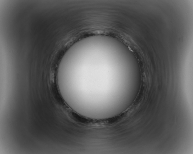 X0000085260368200703090900