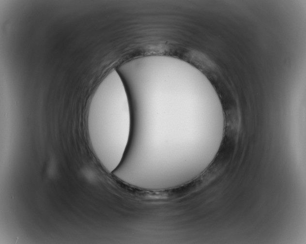 X0000085260369200703090900