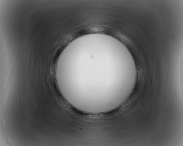 X0000085260373200703090900