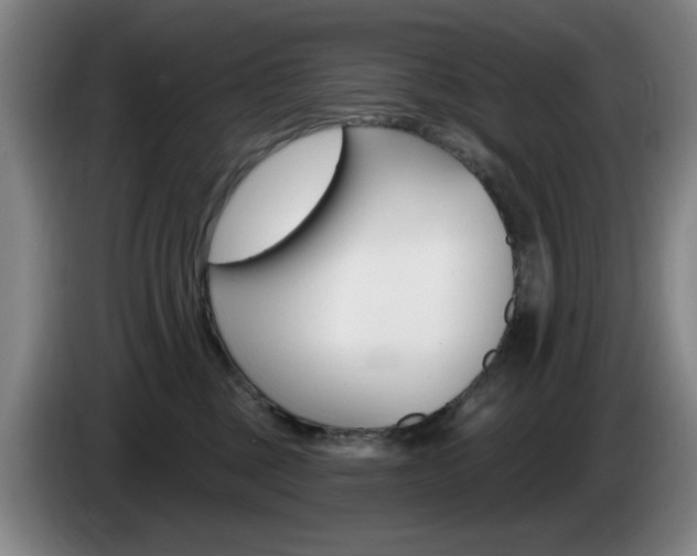 X0000085260377200703090900