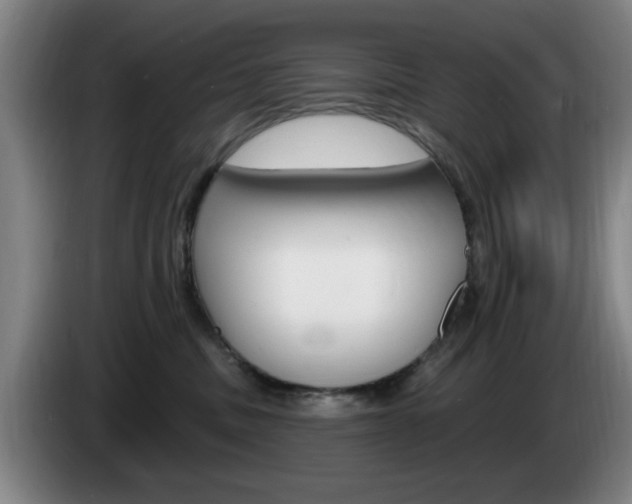 X0000085260379200703090900