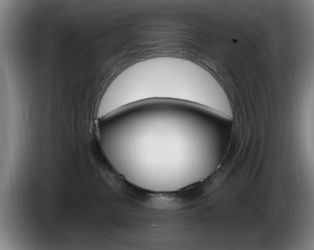 X0000085260380200703090900