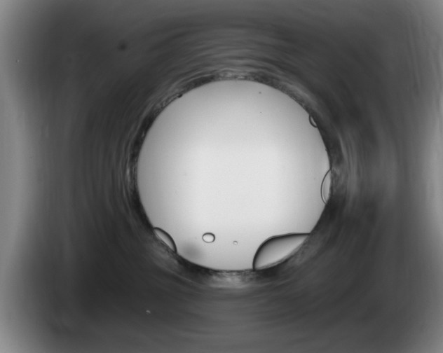 X0000085260381200703090900