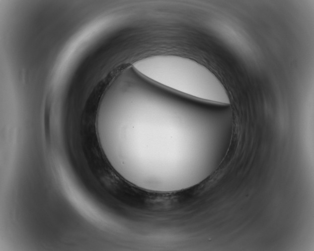 X0000085260383200703090900