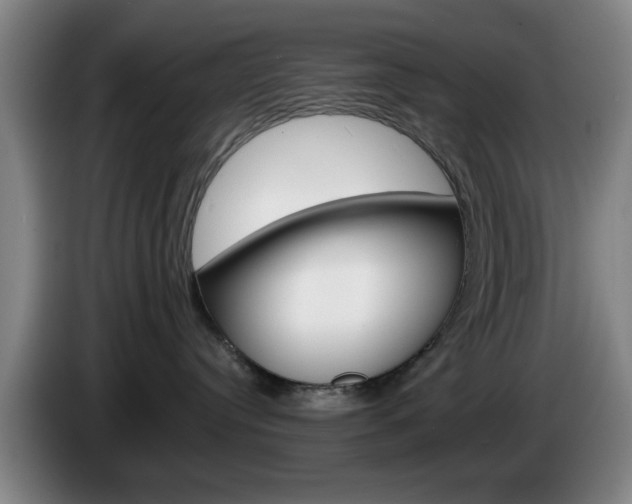 X0000085260384200703090900