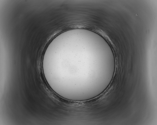 X0000085260386200703090859