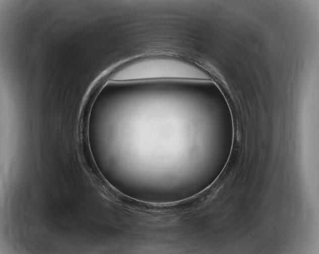 X0000085260388200703090859