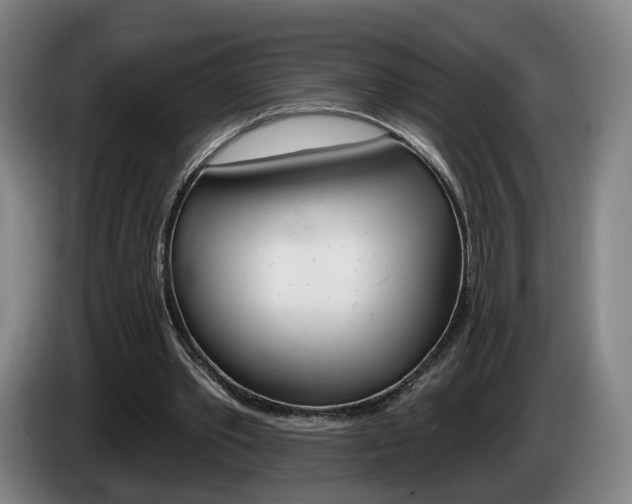 X0000085260389200703090859