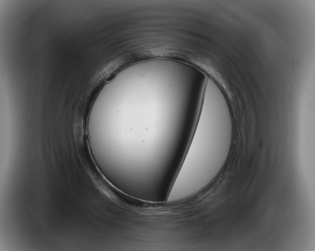 X0000085260397200703090859