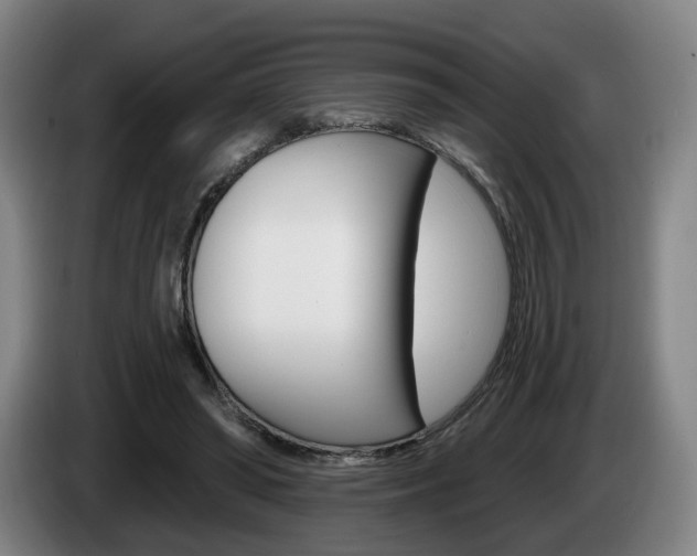 X0000085260398200703090859