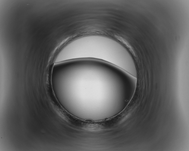 X0000085260399200703090859