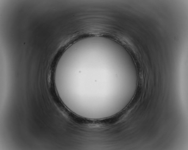 X0000085260404200703090859