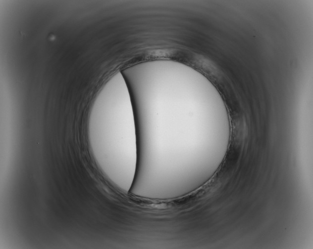 X0000085260406200703090859