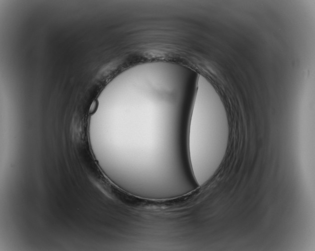 X0000085260408200703090859