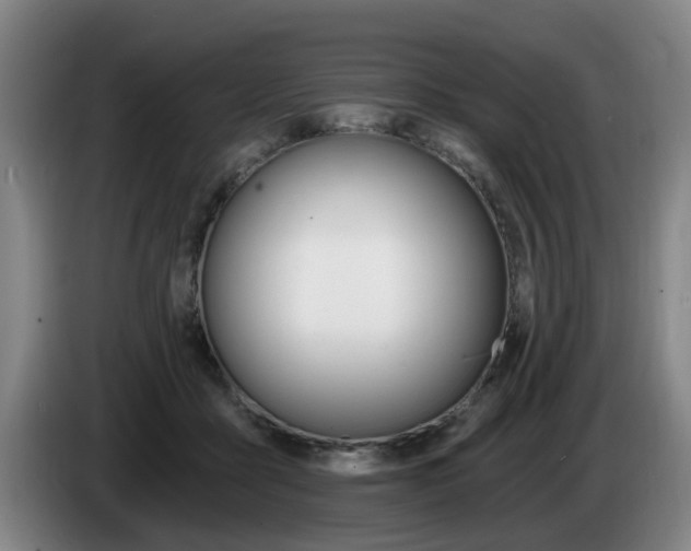 X0000085260411200703090859