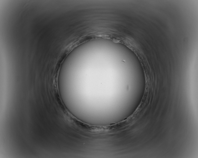 X0000085260415200703090859