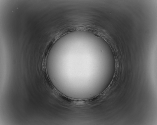 X0000085260419200703090859