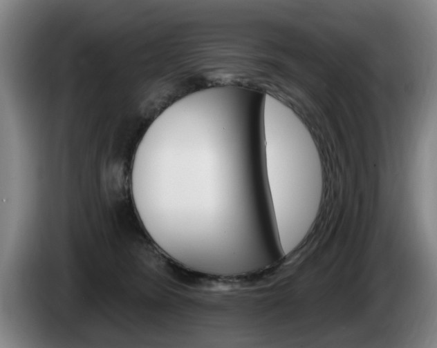 X0000085260420200703090859