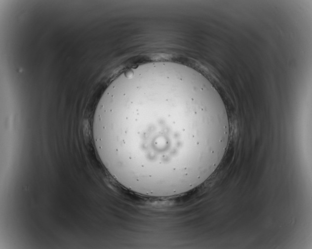 X0000085260426200703090859