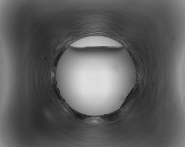 X0000085260427200703090859