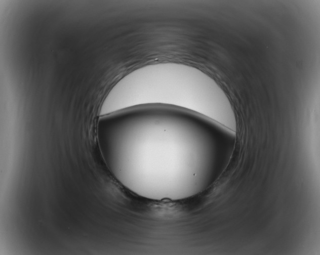 X0000085260428200703090859