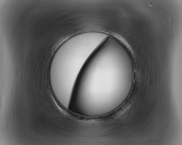 X0000085260433200703090858