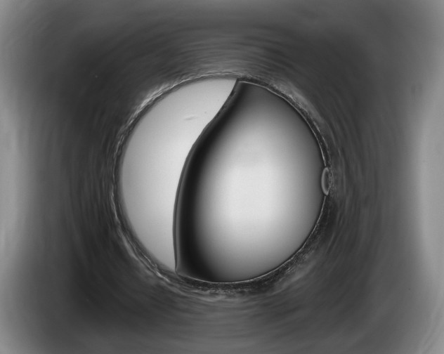 X0000085260434200703090858