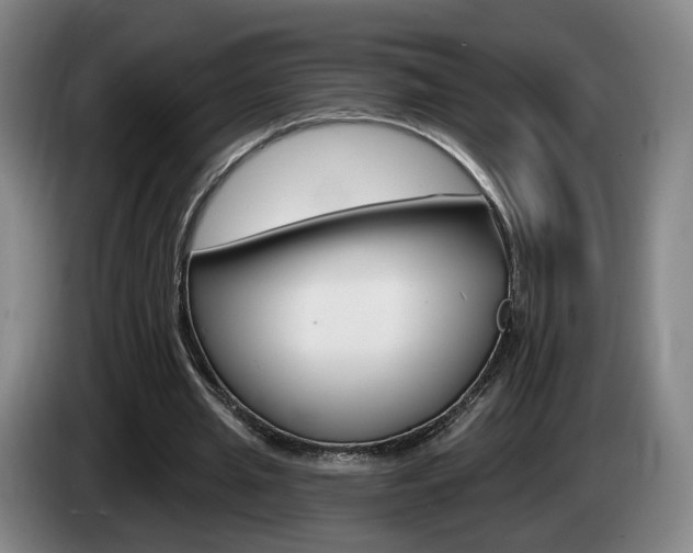 X0000085260437200703090858