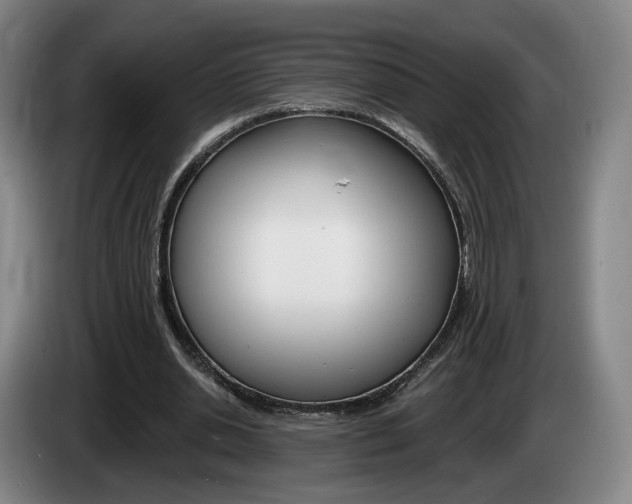 X0000085260438200703090858