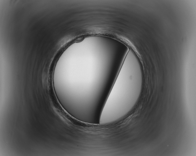 X0000085260439200703090858