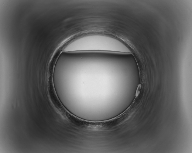 X0000085260440200703090858