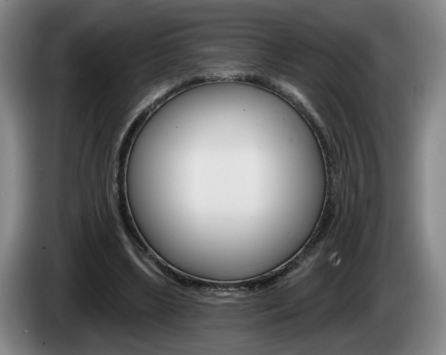 X0000085260443200703090858