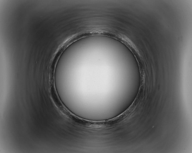 X0000085260444200703090858