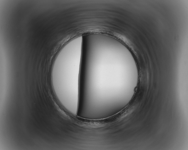 X0000085260445200703090858