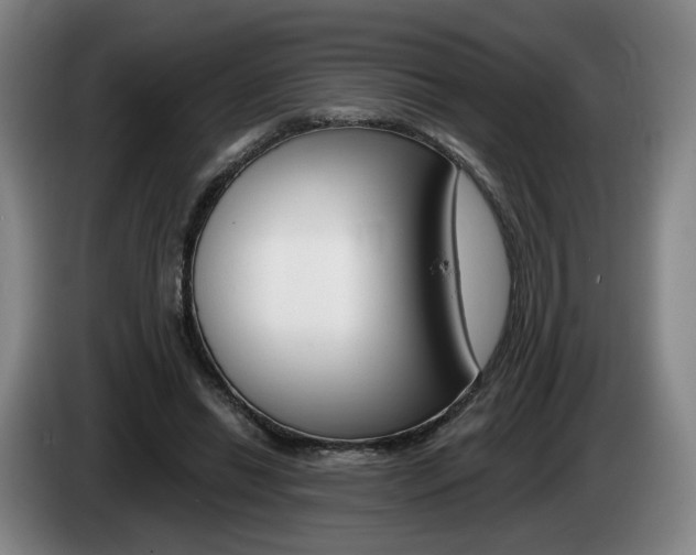 X0000085260446200703090858