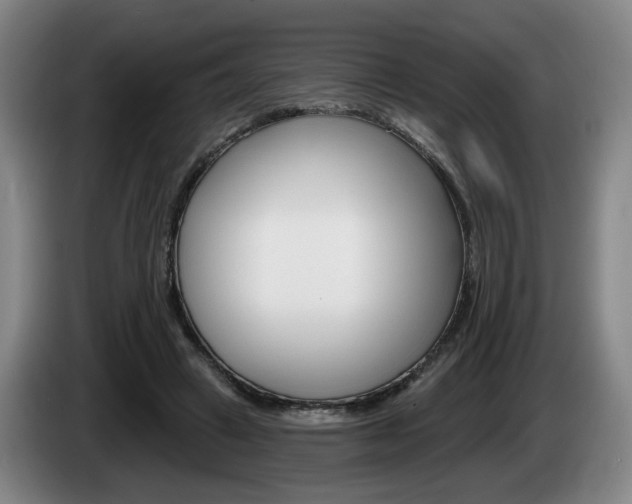 X0000085260449200703090858