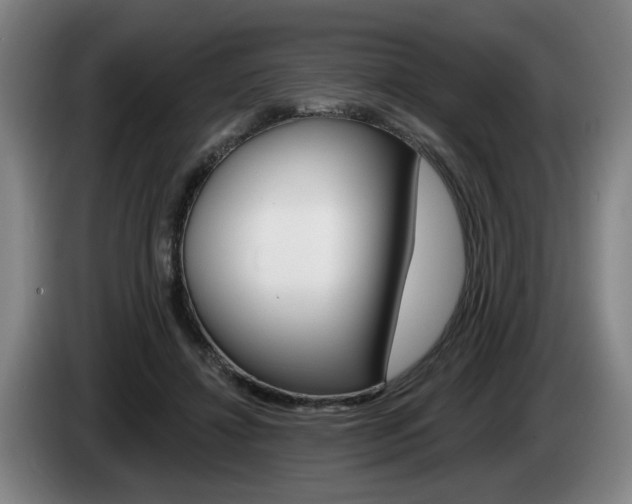 X0000085260452200703090858